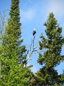 Allen Kurko - IMG_0642